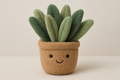 Jelly cat plant